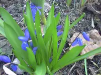 PICT0004.webp
