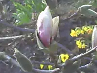 PICT0009.webp