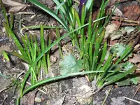 DSCF0063[1].webp