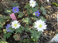 IMG_1566_1067x800.webp