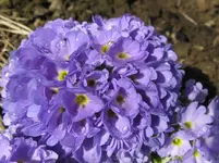 IMG_1563_1067x800.webp