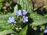 IMG_1581_1067x800.webp