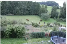 hinten rechts.webp