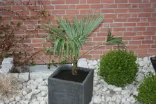 002.webp