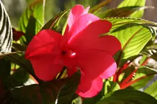 056.webp