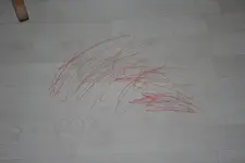 035.webp