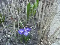 BILD0296.webp