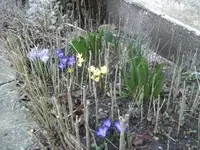 BILD0298.webp