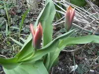 BILD0302.webp
