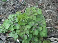 BILD0308.webp