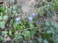 BILD0314.webp