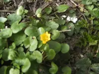 BILD0315.webp