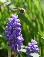 IMG_1346.webp