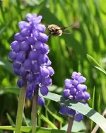 IMG_1344.webp