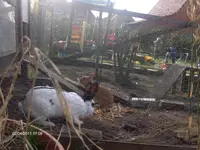 HPIM6310.webp