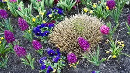 Ausflug nach Worms (30).webp