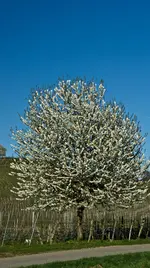 Ausflug nach Worms (39).webp