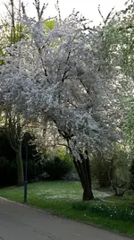 Ausflug nach Worms (41).webp