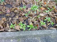 P1000918.webp