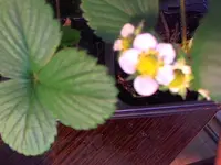 Picture 37.webp