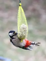_MG_1644.webp