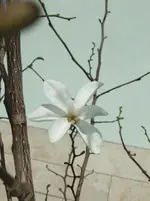 DSCF2571.webp
