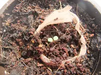 DSCF2575.webp