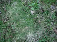 P1070486.webp