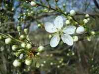 2011 04 03 041.webp