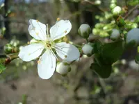 2011 04 03 042.webp