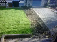 IMG00035-20110324-1609.webp
