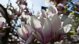 Bad Dürkheim-6.webp