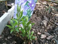DSCF5114.webp