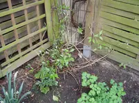 2011 04 02 002.webp