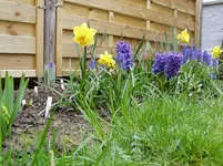 2011 04 02 004.webp