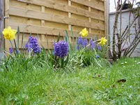 2011 04 02 005.webp