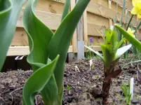 2011 04 02 007.webp