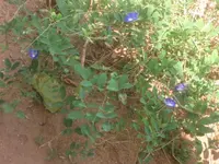 IMG_5388.webp