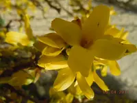 034.webp