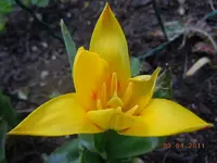 073.webp