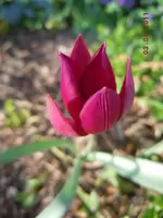 287.webp