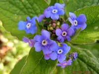 290.webp