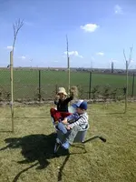 DSCF7931.webp