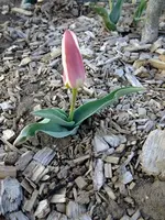 DSCF7910.webp