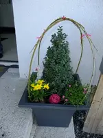 DSCF7936.webp