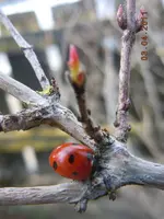 024.webp