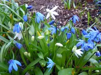 040.webp