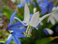 041.webp