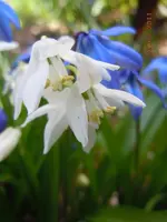 043.webp