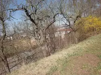 DSC00900.webp